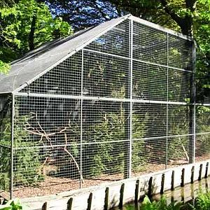 Wissel Zoo in Epe (NL) lemurs/treekangaroo