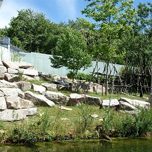 Munich Zoo - Gorilla exhibit