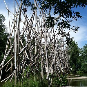 Munich Zoo - Monkey Islands