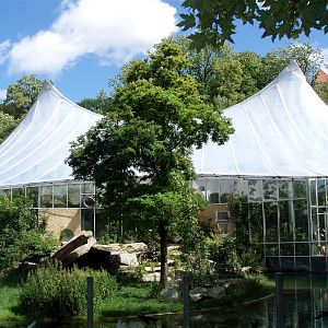 Munich Zoo - Jungletent