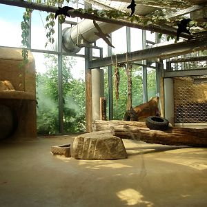 Munich Zoo - Lion exhibit