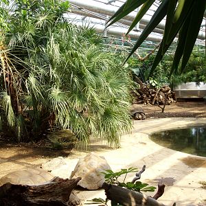 Munich Zoo - Giant Tortoise House