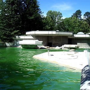 Munich Zoo - Sea lion exhibit