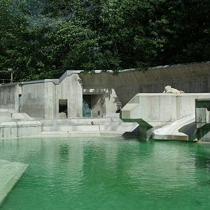 Munich Zoo - Polar bear exhibit