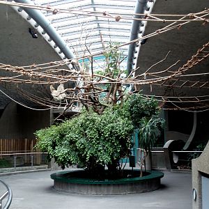 Munich Zoo - Asian House