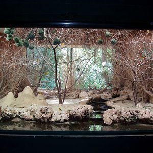 Munich Zoo - Savannah exhibit