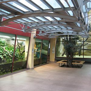 Inside the Carnivoure House