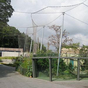 The Big Tiger Exhibit