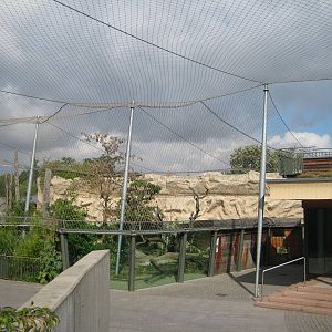 Big Tiger Exhibit