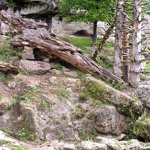 Salzburg Zoo (AT) 2004