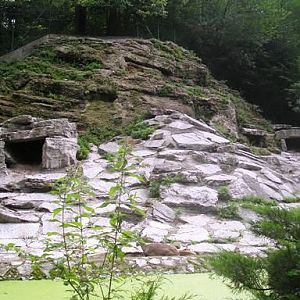 Salzburg Zoo (AT) Alpine ibex 2004