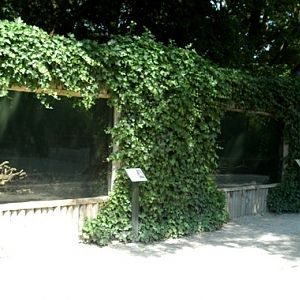 Aquazoo Friesland in Leeuwarden (NL) squirrels 2008