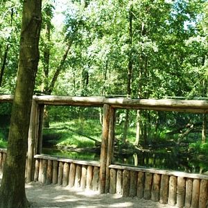 Aquazoo Friesland in Leeuwarden (NL) Panda+muntjak 2008
