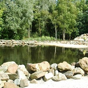 Aquazoo Friesland in Leeuwarden (NL) Penguin 2008
