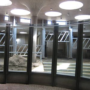 View inside elephant yard