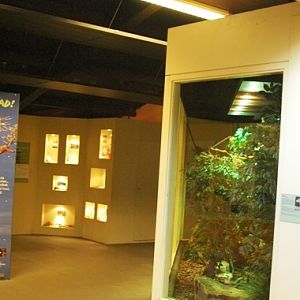 Aquazoo Friesland in Leeuwarden (NL) Naturama 2008