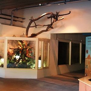 Aquazoo Friesland in Leeuwarden (NL) Naturama 2008