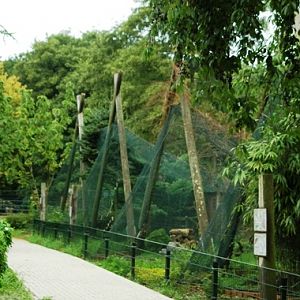 Tiergarten Kleve (D) Predatory birds 2008