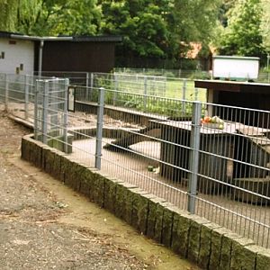 Tiergarten Kleve (D) Porcupines 2008