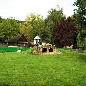 Tiergarten Kleve (D) sheep 2008