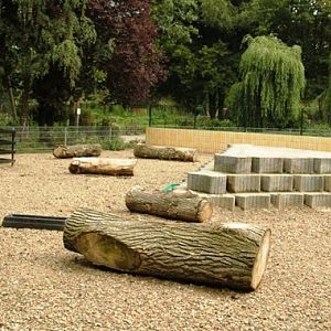 Tiergarten Kleve (D) Goats 2008