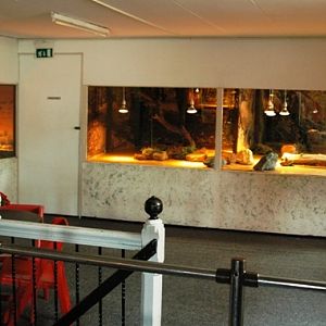 Reptile zoo Iguana in Vlissingen (NL) Attick 2008