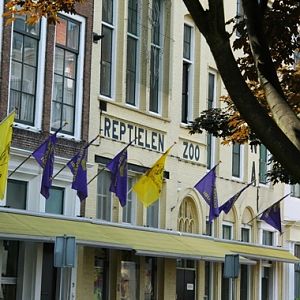 Reptile zoo Iguana in Vlissingen (NL) Entrance 2008