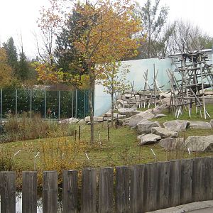 Chimpanze Exhibit