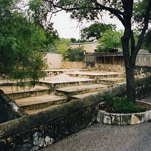 Thomsons Gazelles Exhibit