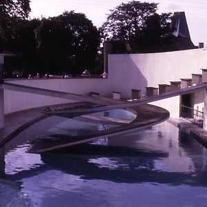 Penguin Exhibit - 1982