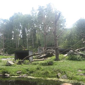 Kolmården Zoo - Chimpanzee Island