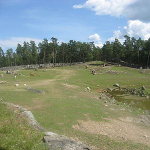 Kolmården Zoo - Savannah
