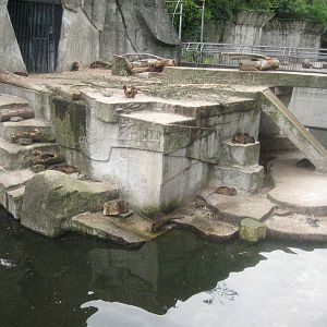 2008 - Former polar bear enclosure - now with beavers in it