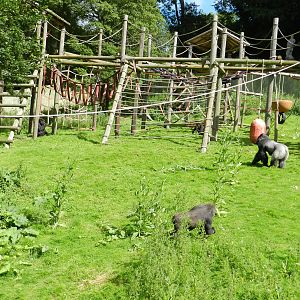 Palace of the Apes Garden