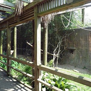 Lemur Exhibit (3 Species)