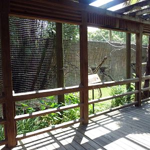 Lemur Exhibit (3 Species)