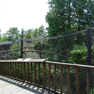 Black Howler Monkey/Blue + Gold Macaw Exhibit