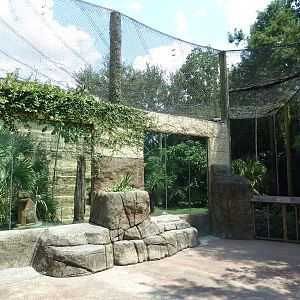 Jaguar Exhibit