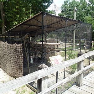 Mixed-Species Exhibit (3 Species)