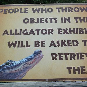 Alligator Sign