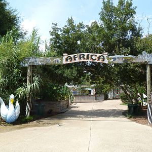 Africa - Entrance