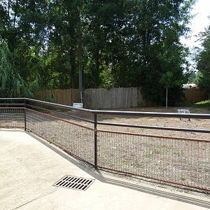Africa - Future Zebu Exhibit