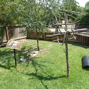 Africa - African Spurred Tortoise Exhibit