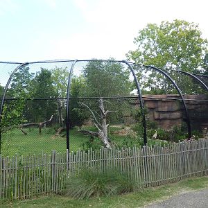 Sumatran Tiger Exhibit (New in 2010)