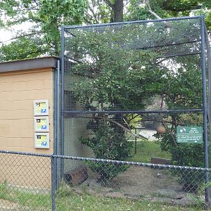 Mixed-Species Exhibit (3 Species)