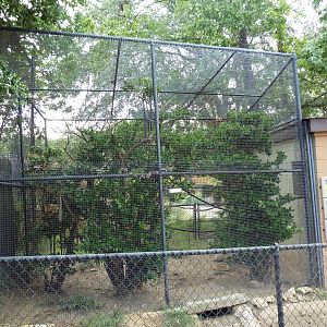 Mixed-Species Exhibit (3 Species)