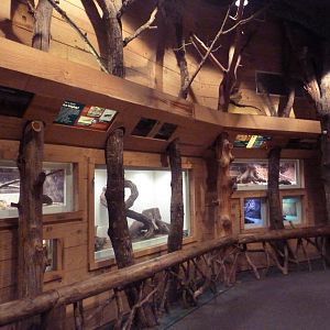 Mississippi Wilderness - Backyard Creatures Building