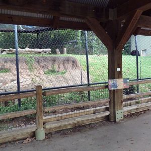 Mississippi Wilderness - Black Bear Exhibit