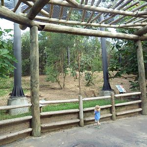 Mississippi Wilderness - Cougar Exhibit