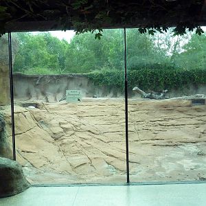 Mississippi Wilderness - Beaver Exhibit (temporarily drained of water)